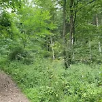 Charming In The Harz With Wonderful Excursion Opportunities * Bad Grund