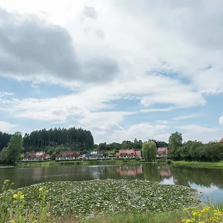 Charming In The Harz With Wonderful Excursion Opportunities Lejlighed