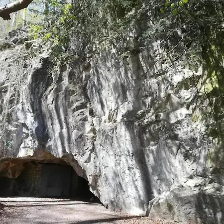 Lejlighed Charming In The Harz With Wonderful Excursion Opportunities