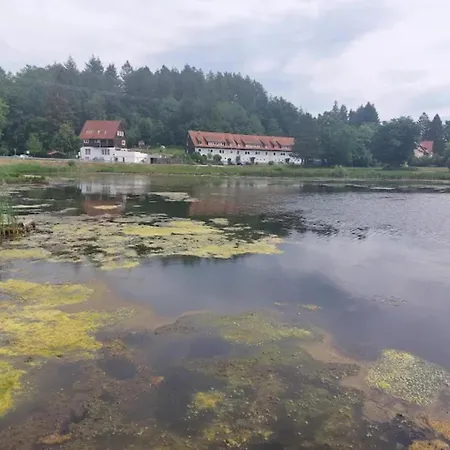Charming In The Harz With Wonderful Excursion Opportunities