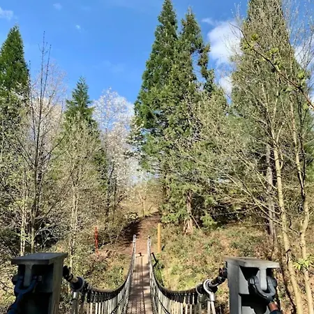 Charming In The Harz With Wonderful Excursion Opportunities Bad Grund