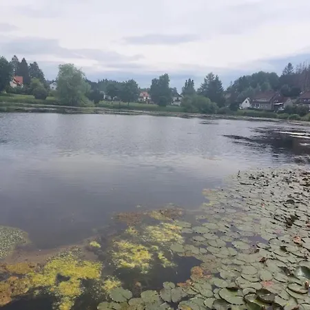 Charming In The Harz With Wonderful Excursion Opportunities Apartmán *