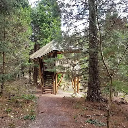 Charming In The Harz With Wonderful Excursion Opportunities