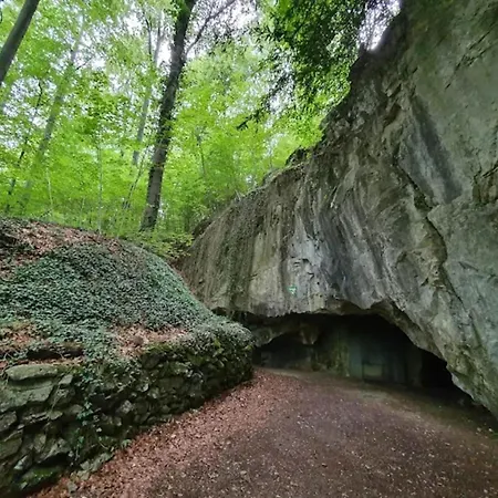Charming In The Harz With Wonderful Excursion Opportunities Apartmán