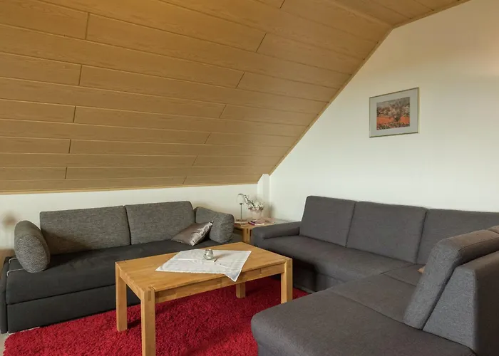 Daire Charming In The Harz With Wonderful Excursion Opportunities *