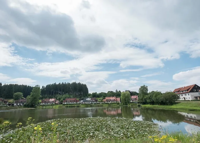 Charming In The Harz With Wonderful Excursion Opportunities Daire