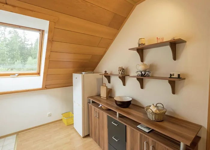Charming In The Harz With Wonderful Excursion Opportunities *