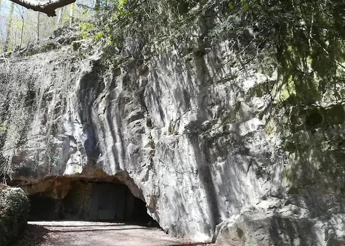 Daire Charming In The Harz With Wonderful Excursion Opportunities