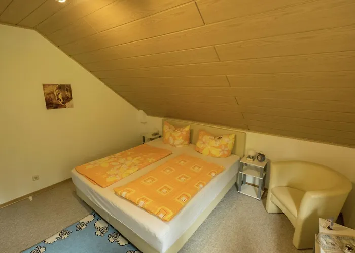 Daire Charming In The Harz With Wonderful Excursion Opportunities *
