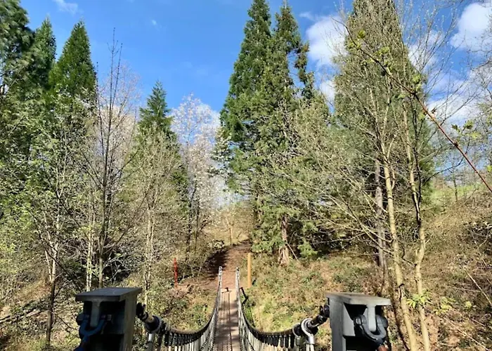 Charming In The Harz With Wonderful Excursion Opportunities Bad Grund
