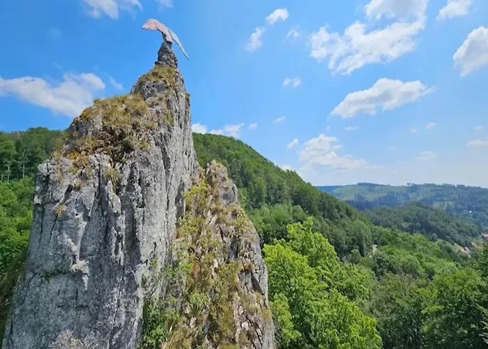 Charming In The Harz With Wonderful Excursion Opportunities Daire
