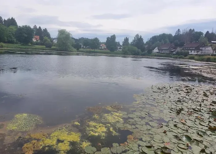 Charming In The Harz With Wonderful Excursion Opportunities Daire *