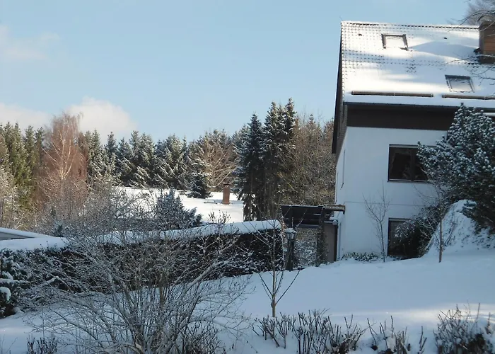 Daire Charming In The Harz With Wonderful Excursion Opportunities *