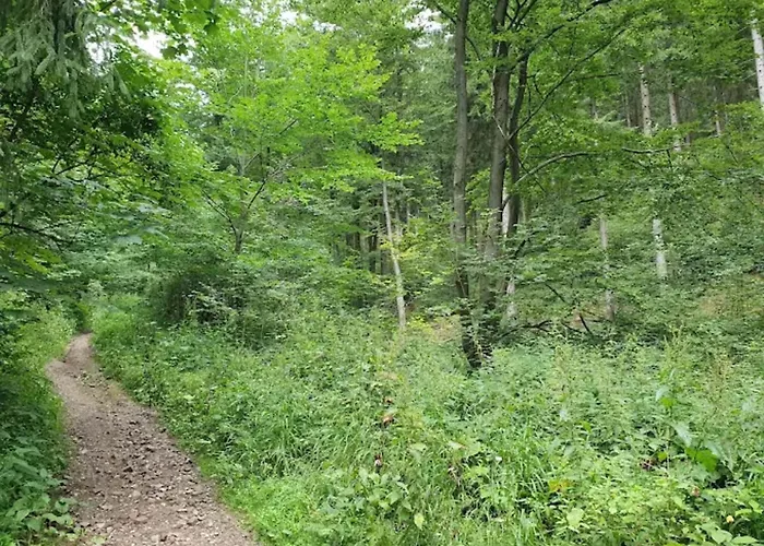 Charming In The Harz With Wonderful Excursion Opportunities * Bad Grund