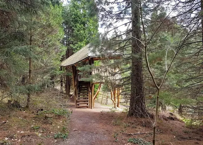 Charming In The Harz With Wonderful Excursion Opportunities