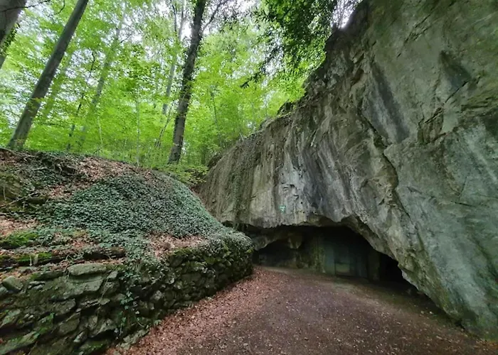 Charming In The Harz With Wonderful Excursion Opportunities Daire